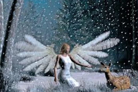 &quot; Angel Woods&quot;...