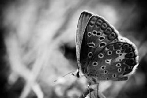 When We Think Of Nature..