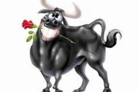 BULLSHEX
