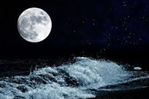LUNAR LOGIC