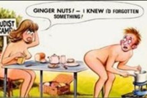 GINGER NUT,S !?X