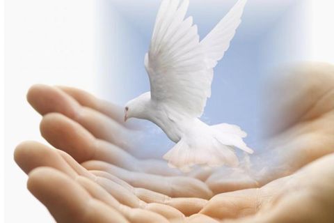 THE POWER OF YOUR HEALING HAND LORD