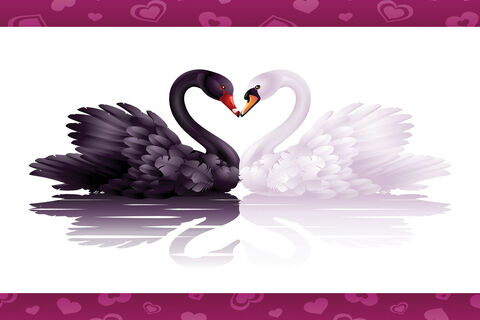 SWAN SONG...