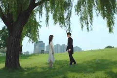The love ghost