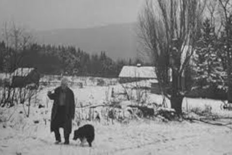  Ode to the Country
