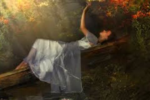 &quot; Of Light &quot;