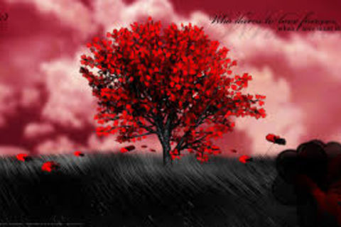 Love Forever 
