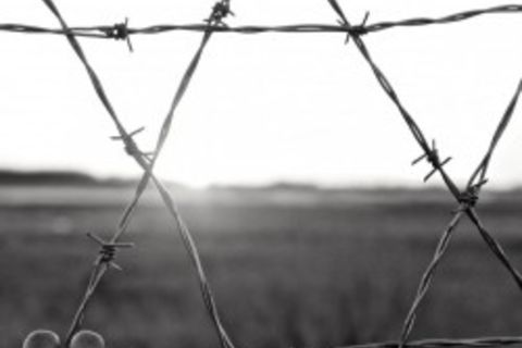 Through the Wired Fence