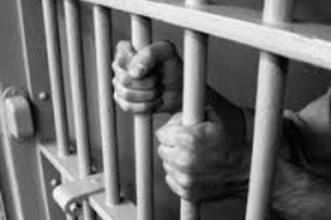 These Damn Prison Bars!