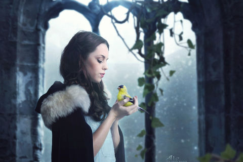 hush hush