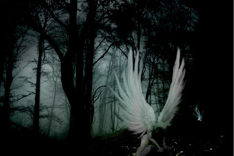 Lost Whisper