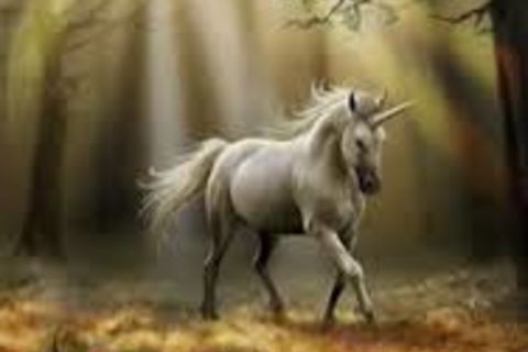 &quot; Heavens UNICORN &quot;