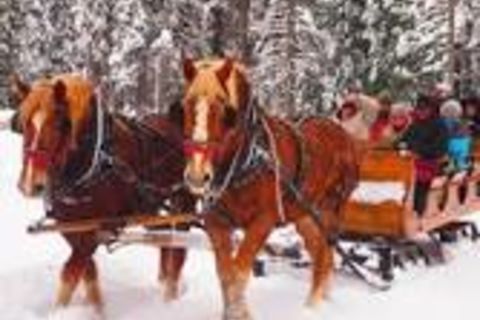 A Winters Scene