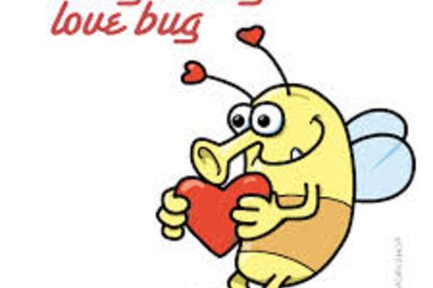 THE LOVE BUG !?X