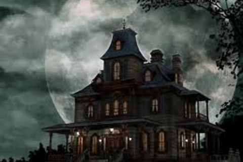 &quot; Hotel For The Insane &quot;