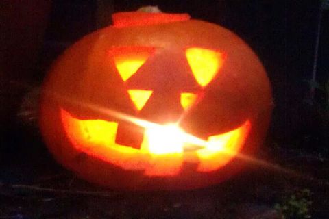 Pumpkins at Halloween