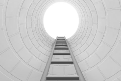 Ladder Man