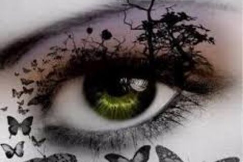 BUTTERFLIES CRIES..