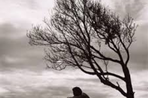 (untitled)