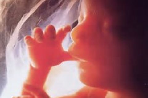 A Baby&#039;s Heart-Wrenching Scream