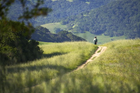 The Path Unique