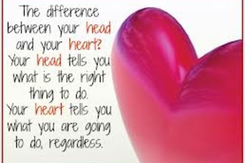 HEAD OR HEART !?X