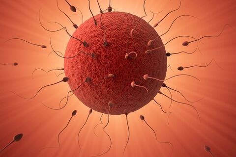 UPON CONCEPTION...