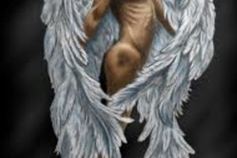 &quot;Convergence Is Taking My Soul Away!! &quot;