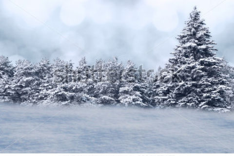 A Winters Night