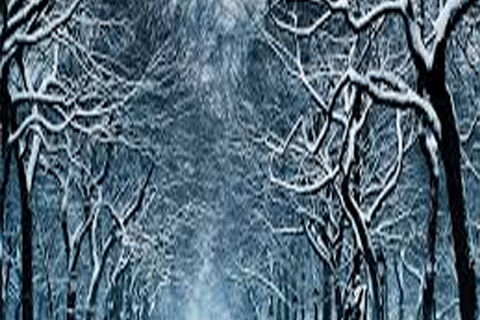 DECEMBER SOULS: DAY 16, WILLIAMSJI MAVELI WRITES, &quot; SEASON &quot;