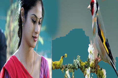 DECEMBER SOULS: DAY 22, WILLIAMSJI MAVELI  WRITES, &quot; LIFE IS BEAUTIFUL...&quot;