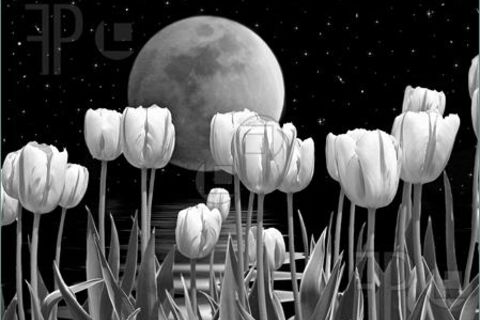 Moonsong