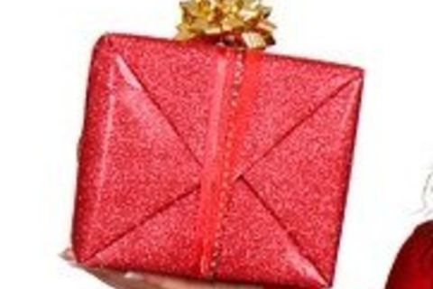 Please Santa?