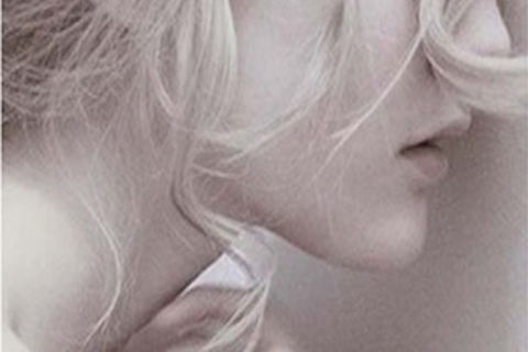 POET&#039;S PEN: WILLIAMSJI MAVELI writes on Lily Mae&#039;s Poem &quot; Bite Me &quot; 