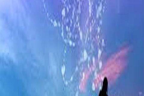 DECEMBER SOULS: DAY 30, WILLIAMSJI MAVELI  WRITES, &quot;  GOOD MEMORIES.. &quot;