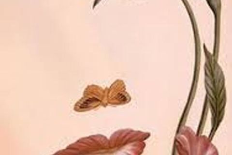 LOVE FLOWERS: WILLIAMSJI MAVELI – FLOWER GIRL: INSPIRATIONAL SHORT POEMS