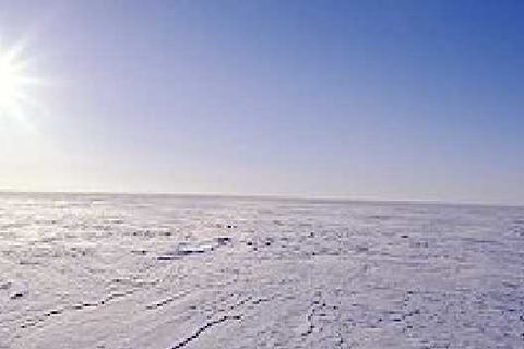 Frozen Wheel