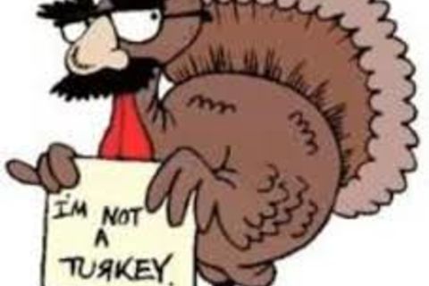 &quot; I,M NOT A TURKEY !?&quot; X