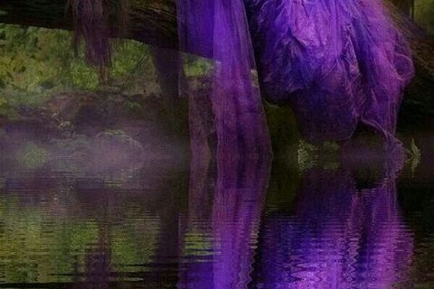 Purple Dreams
