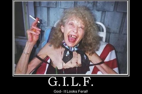 G.I.LF SEEKS D.I.L.F FOR F.I.L.F