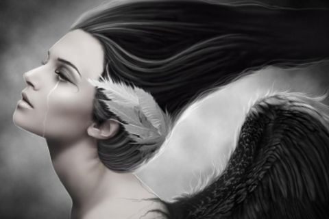 Black wings