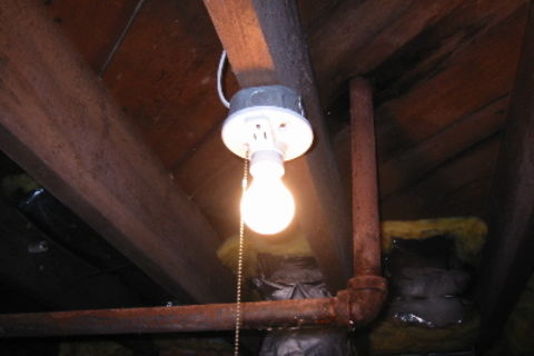 UNDER THE BULB