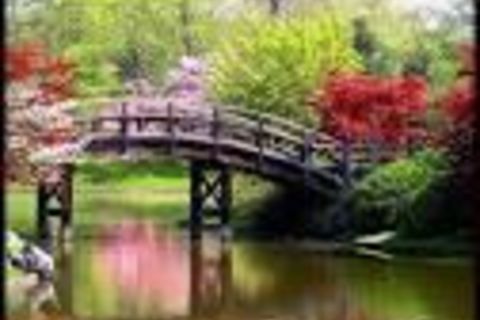 Inhaling Springtime
