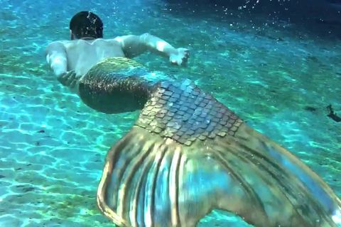Sea Chime In Your Midst