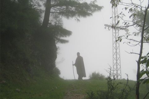 Foggy Early Morning Rain