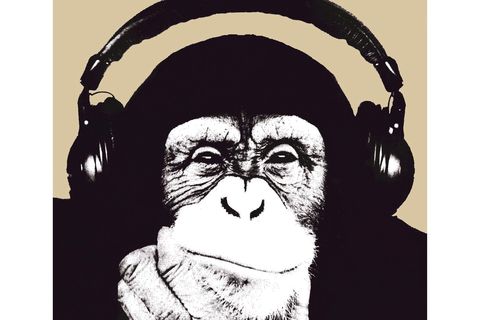 Hear Their Sound