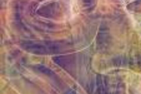 OBLIVISCENCE