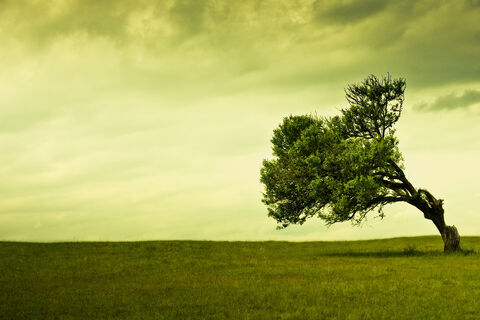 As Seasons Change...