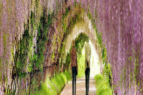 MARCH MYTHS: DAY 12, WILLIAMSJI MAVELI WRITES,  &quot; WHEN SPRING BROKE&quot;