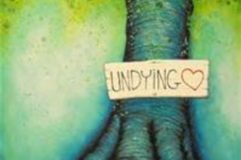 Undying Love